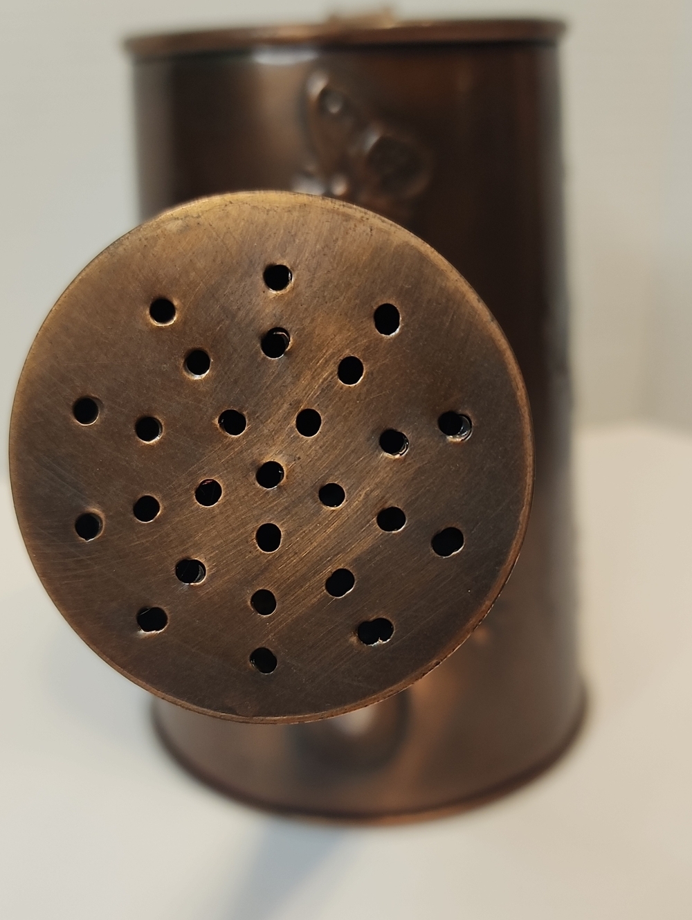 Decorative Copper Dragonfly Butterfly Bee Watering Can - Home Kitchen - Picture 6 of 7